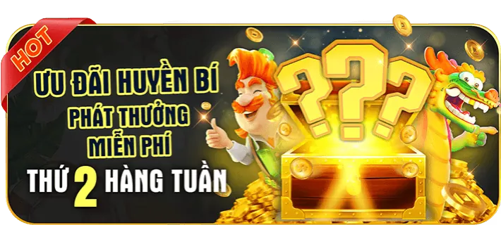 Ưu Đãi VIP hk79 nhà cái